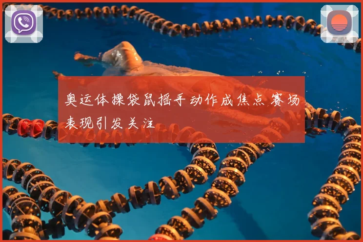 奥运体操袋鼠摇手动作成焦点 赛场表现引发关注