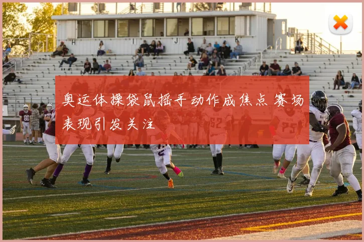 奥运体操袋鼠摇手动作成焦点 赛场表现引发关注