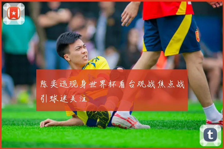 陈奕迅现身世界杯看台观战焦点战引球迷关注