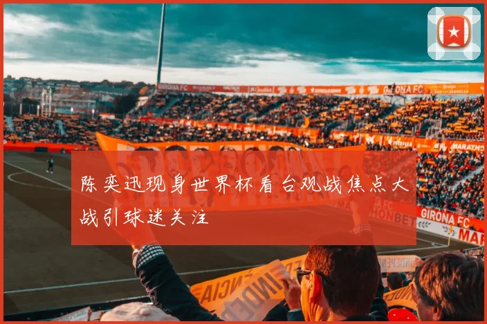 陈奕迅现身世界杯看台观战焦点大战引球迷关注